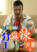 99久久国内精品成人免费